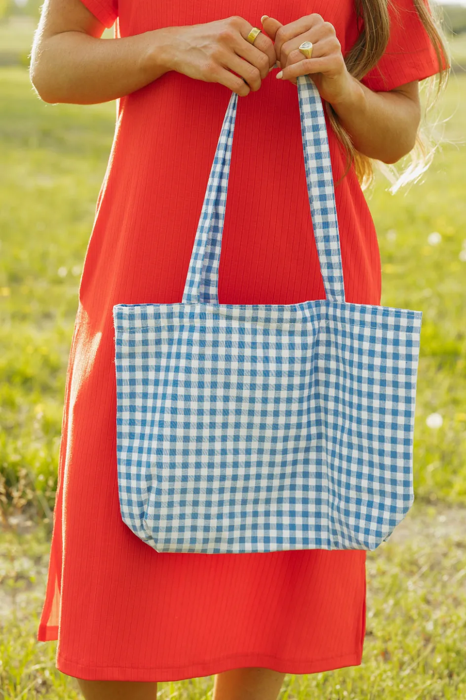 Ali Express Greta Gingham Tote Tan/Blue Sale