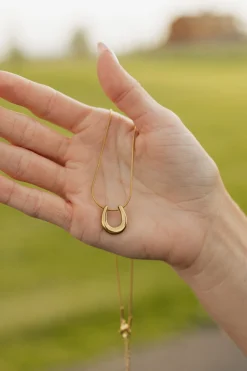 Ali Express Horseshoe Necklace- Gold Online