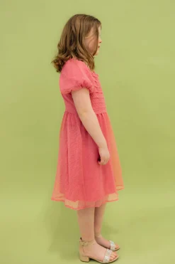 Dongguan Huoyoung Apparel Co Little Girl's Chelsie Dress-Pink Fashion
