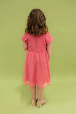 Dongguan Huoyoung Apparel Co Little Girl's Chelsie Dress-Pink Fashion