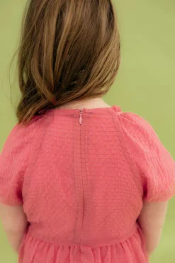 Dongguan Huoyoung Apparel Co Little Girl's Chelsie Dress-Pink Fashion