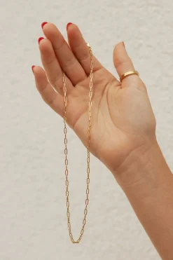 Ali Express Penn Paperclip Chain Necklace-Gold Online