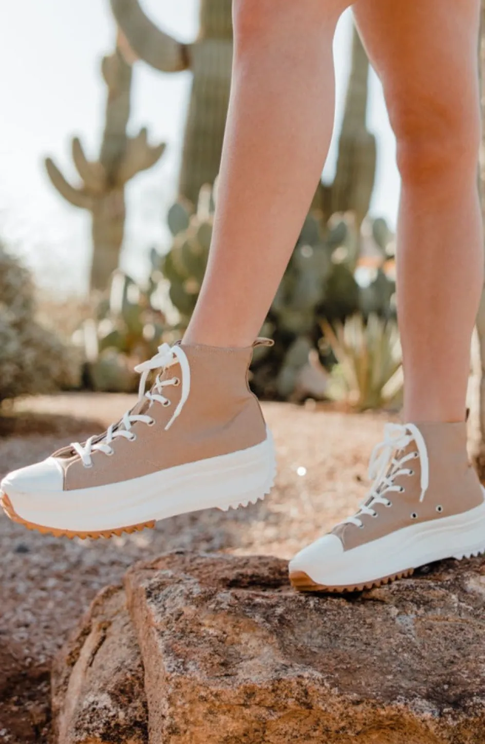 ccocci Thandos Sneakers-Mocha Discount